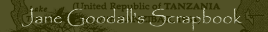 Click Here To Enter Jane Goodall's Scrapbook