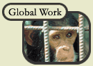 Global Work