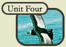 Unit Four Overview