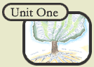 Unit One Overview